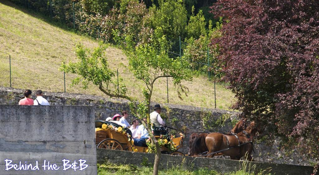 Bob And Jenny'S B&B Vicenza Bagian luar foto