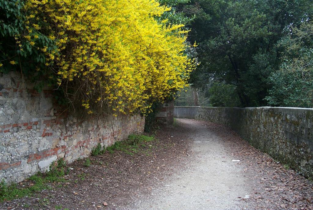 Bob And Jenny'S B&B Vicenza Bagian luar foto